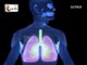 Human Lungs | Parts of Respiratory system | Human anatomy | 3D animation videos ANATOMY