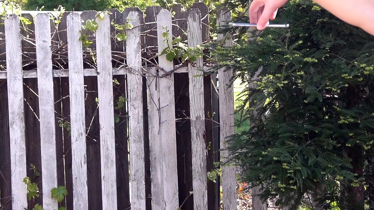 Samsung Galaxy S6 Edge Durability Drop Test!