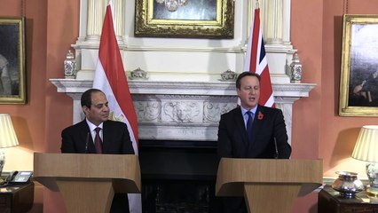 Egipto dispuesto a cooperar con la seguridad de los turistas