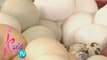 Kris TV: The truth about eggs