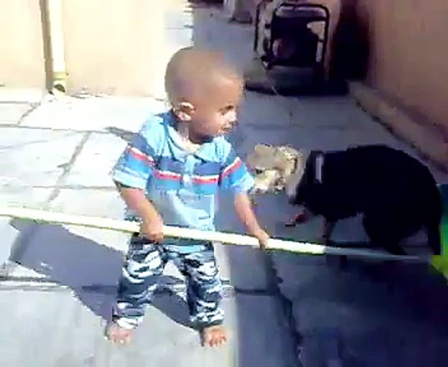 Baby Beat The Dog Amazing Fight Very Funny Video