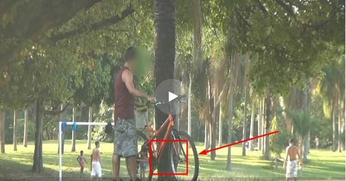 Как нужно поступать с веловорами. Бразильская версия (1 видео)