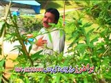 Maba Na Manala  | Raees Bacha | Pashto New Song Album 2015 | Dhamaka HD