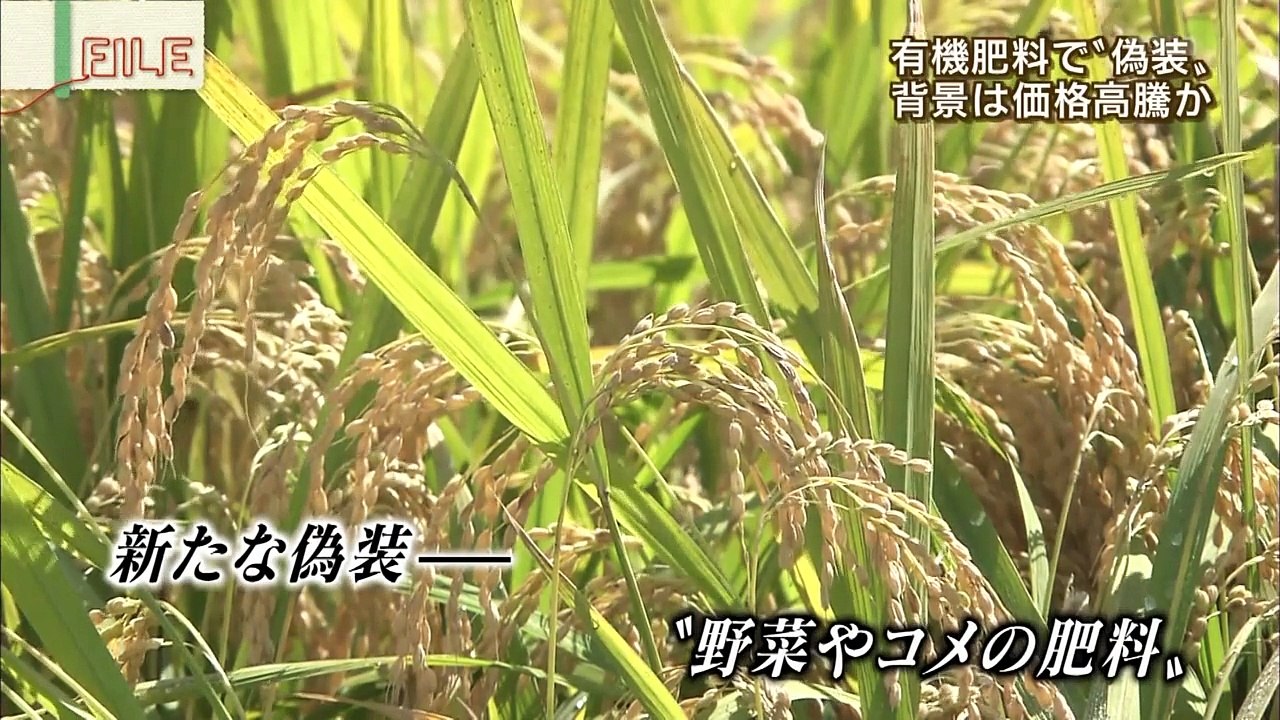 有機肥料で偽装