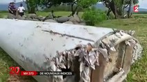 Vol MH370: Débris retrouvés à La Réunion, proches des disparus, enquêteurs ..