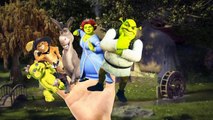 Finger Family Nursery Rhymes Shrek | Spiderman Cartoons For Children Finger Family Rhymes