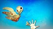 Finding Nemo Cartoon Full Finger Family Children Nursery Rhymes | Finding Nemo Finger Fami