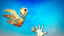 Finding Nemo Cartoon Full Finger Family Children Nursery Rhymes | Finding Nemo Finger Fami