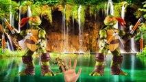 Finger Family Nursery Rhymes Teenage Mutant Ninja Turtles Cartoons For Children Finger Fam