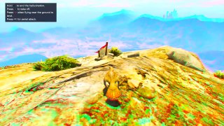 GTA 5 PLAYING AS BIRDS Easter Egg (GTA V Peyote Location #2)