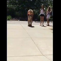 friend tv means funny time