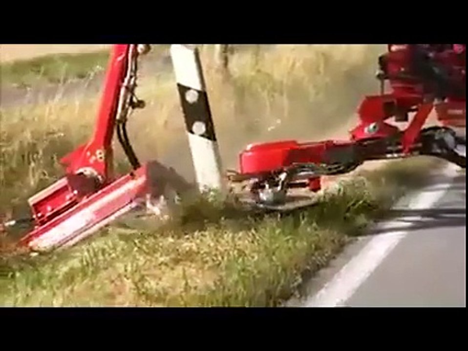 cắt cỏ ở nước ngoài
