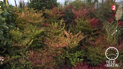 Jardin - L'automne au jardin - 2015/11/06