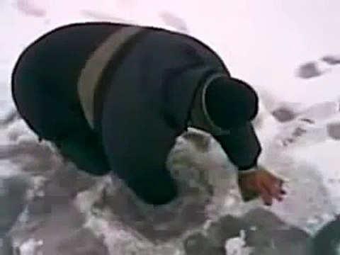 Dog Climbs Stairs Backwards _ Funny Videos 2015