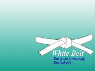 Taekwondo Sydney Explanation of the Taekwondo Belts