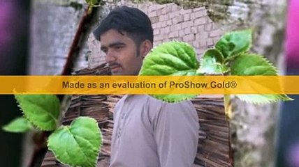 na jany q tera mil kar bechrna yad ata hy by malik sagar