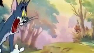 Tom And Jerry 2015 | Part Cat Fishin | Kid Cartoon 2015