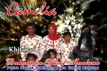camelia-selimut hitam voc.eva aquilla