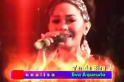 camelia-tenda biru voc.eva aquilla