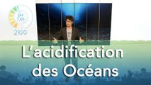 L’acidification des océans - Les dessous de l'Océan 1x09