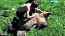Funny Videos Grizzly Bear Has Heart Attack Falls To Her Death _ Funny Videos 2015