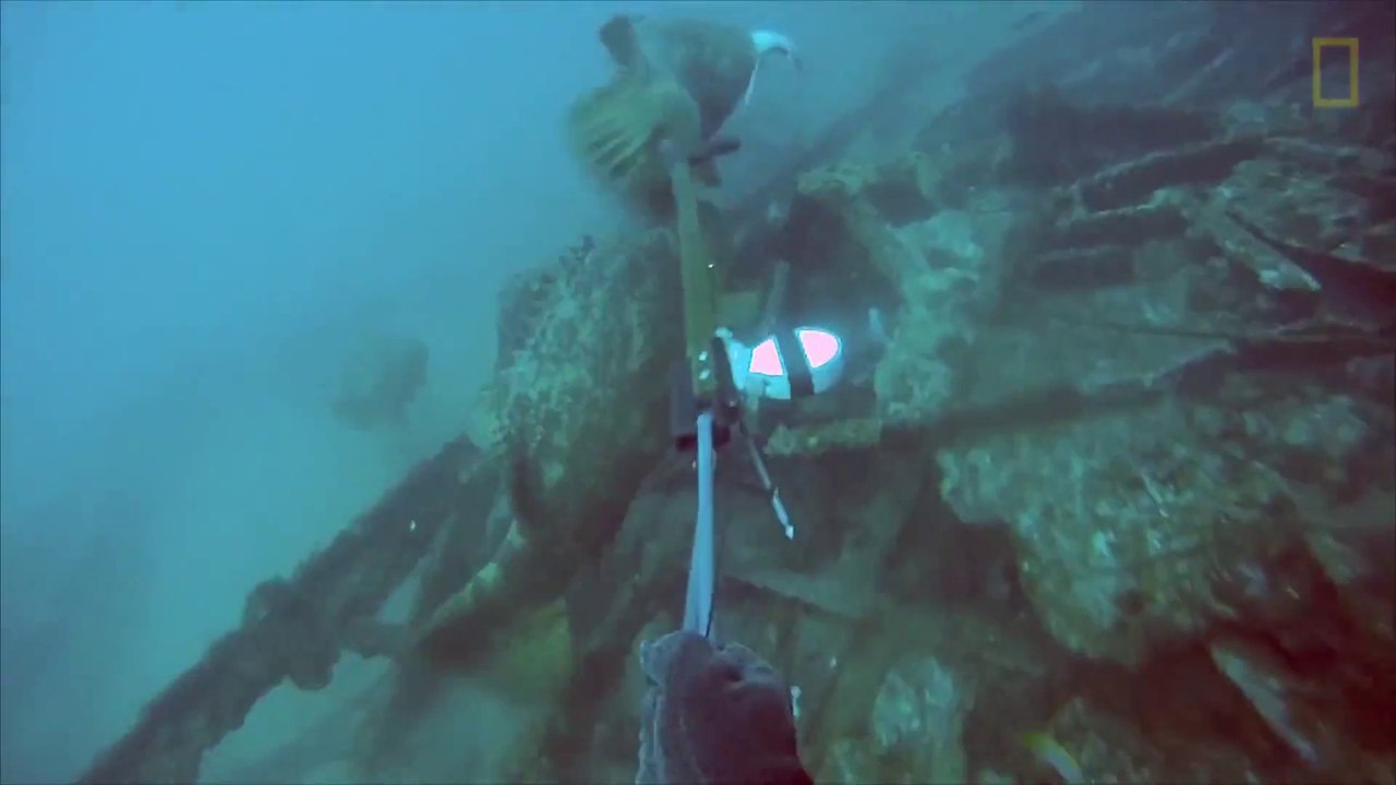 Un pécheur se fait emporter par un Mérou Goliath géant!