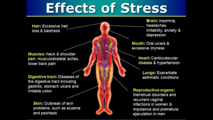 How to beat stress | Fast Stress Relief