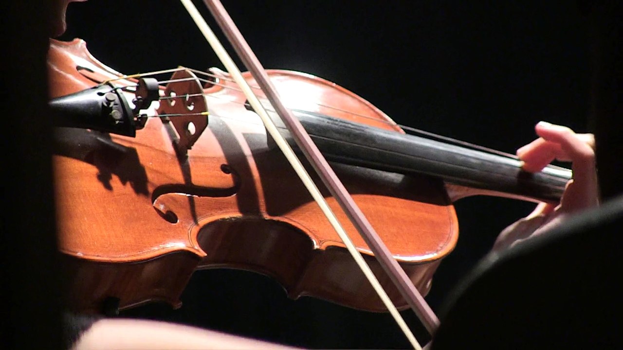 TRAKYA ODA ORKESTRASI (5)