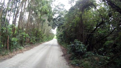 Lonely cyclist, Ciclista solitário, hoje na lama e chuva, nas várzeas do Rio Paraíba do Sul, (23)