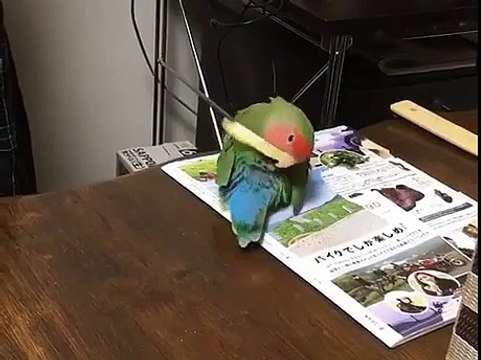 Сегодня придут гости