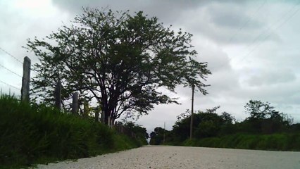 Lonely cyclist, Ciclista solitário, hoje na lama e chuva, nas várzeas do Rio Paraíba do Sul, (4)
