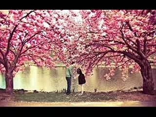 +91-9501893254 Black magic specialist IN LUDHIANA