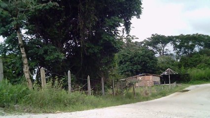 Lonely cyclist, Ciclista solitário, hoje na lama e chuva, nas várzeas do Rio Paraíba do Sul, (5)