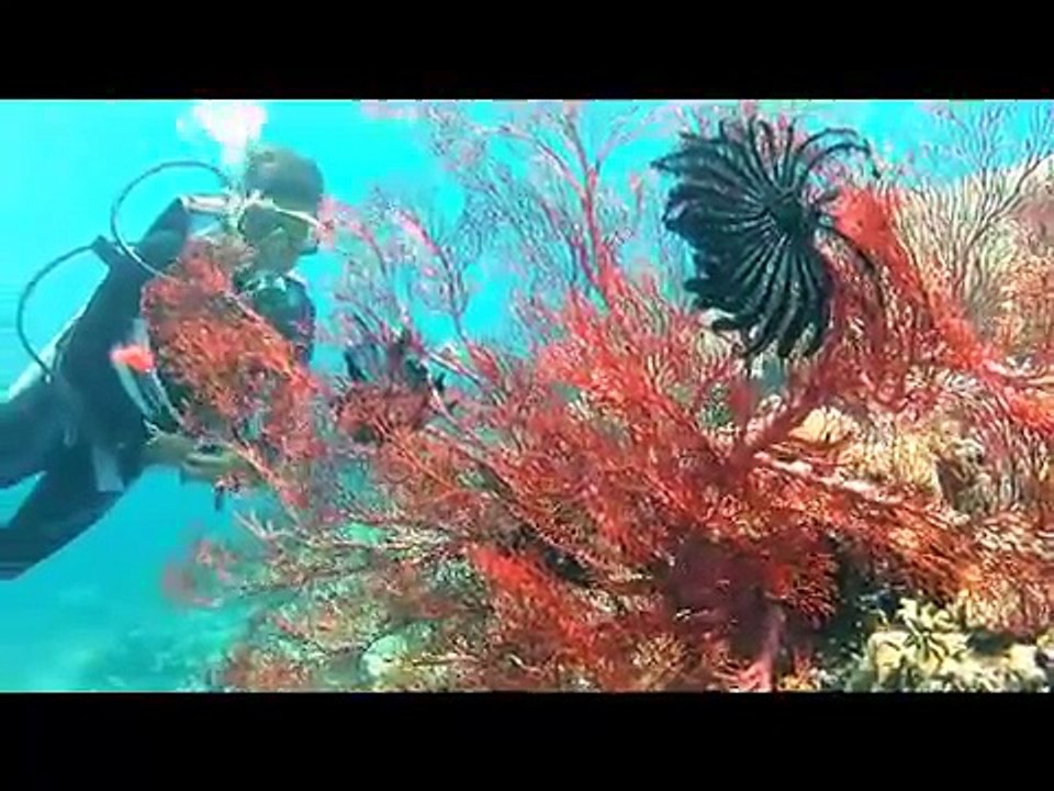 Indonesia - Another glimpse at Tobelo