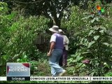 Ecuador: pequeños productores apuestan por el mercado orgánico