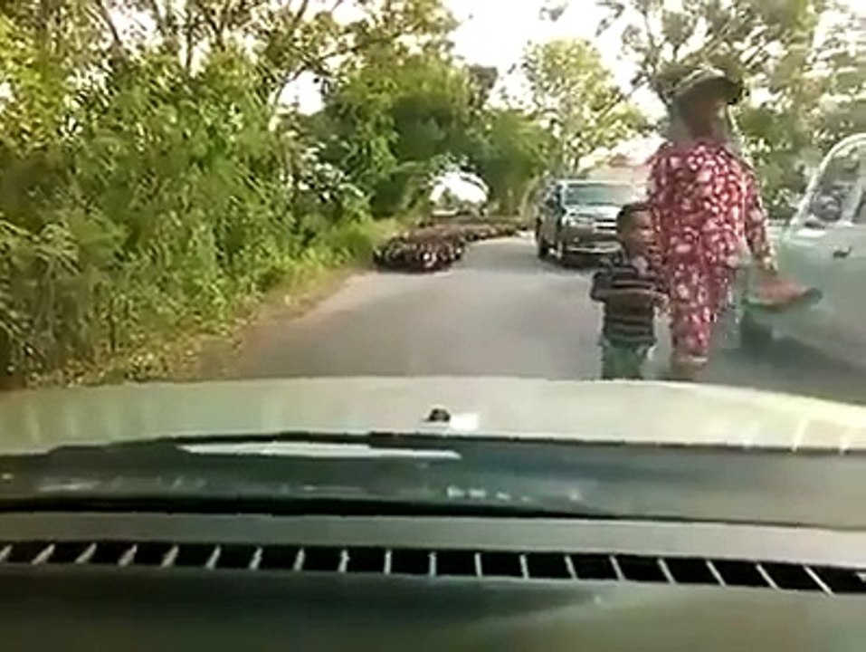 Duck stampede!