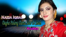Nazia Iqbal - Dagha Palang Darta Soor Or Shah