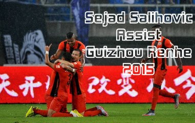 Sejad Salihovic | Assist ● Guizhou Renhe ● 2015