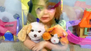 FurReal Friends Peek A Boo Daisy Kitten & My Bouncin Pup Puppy Toys with Emily!