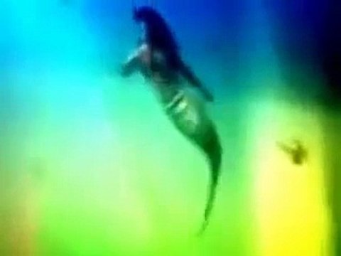 فرانس کے سائنس دانوں نے زندہ جل پری پکڑ کر دنیا کے سامنے پیش کردی.ویڈیو دیکھیں.