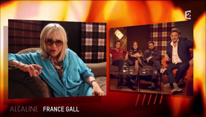 France Gall pose une  question aux Chedid dans Alcaline (05/11/2015)