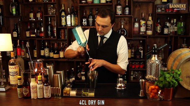 Vesper Martini - James Bond Martini selber mixen - Schüttelschule by Banneke