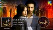 Gul-E-Rana Full Audio OST _ Sajjal Ali _ Feroze Khan _ HUM TV Drama - 2015