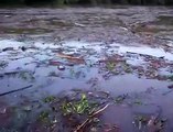 Rompimento de barragens em Minas: Rio Doce fica repleto de lama em Santa Cruz do Escalvado