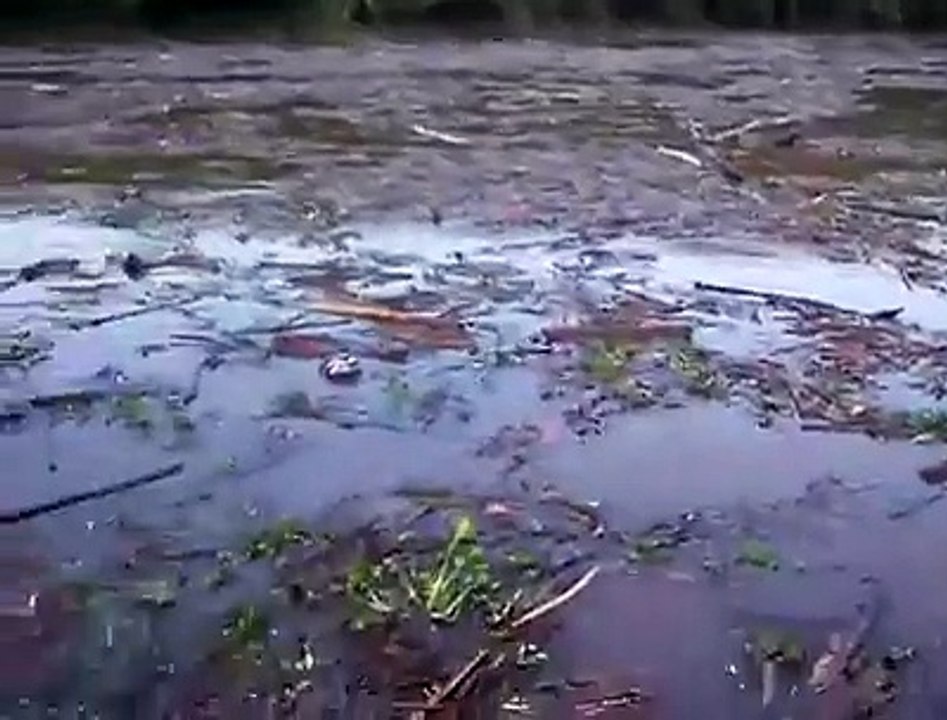 Rompimento de barragens em Minas: Rio Doce fica repleto de lama em Santa Cruz do Escalvado