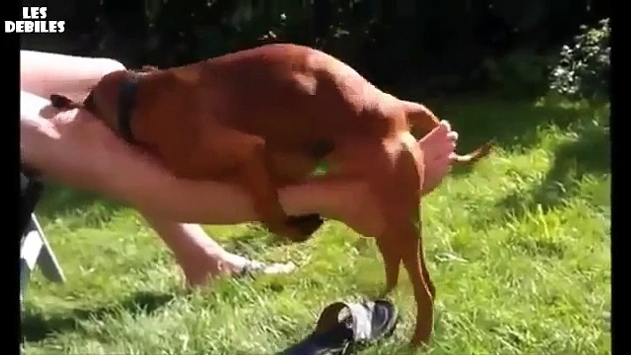 Compilation fille fail avec des chiens