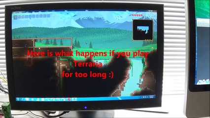 What happens if you play too much Minecraft or Terraria