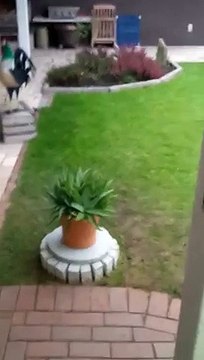 Quand ma femme se barre, fiesta avec les potes !