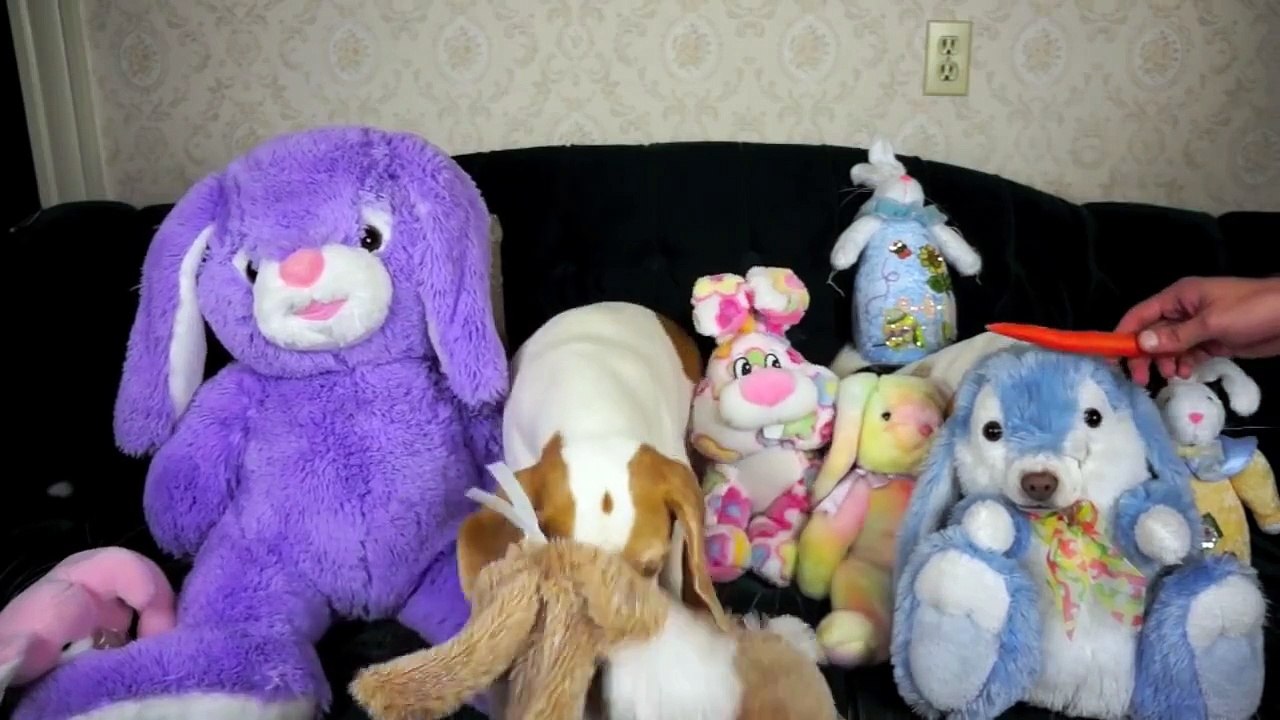 vous n'allez pas en croire vos yeux quand vous verrez ces peluches prendre vie