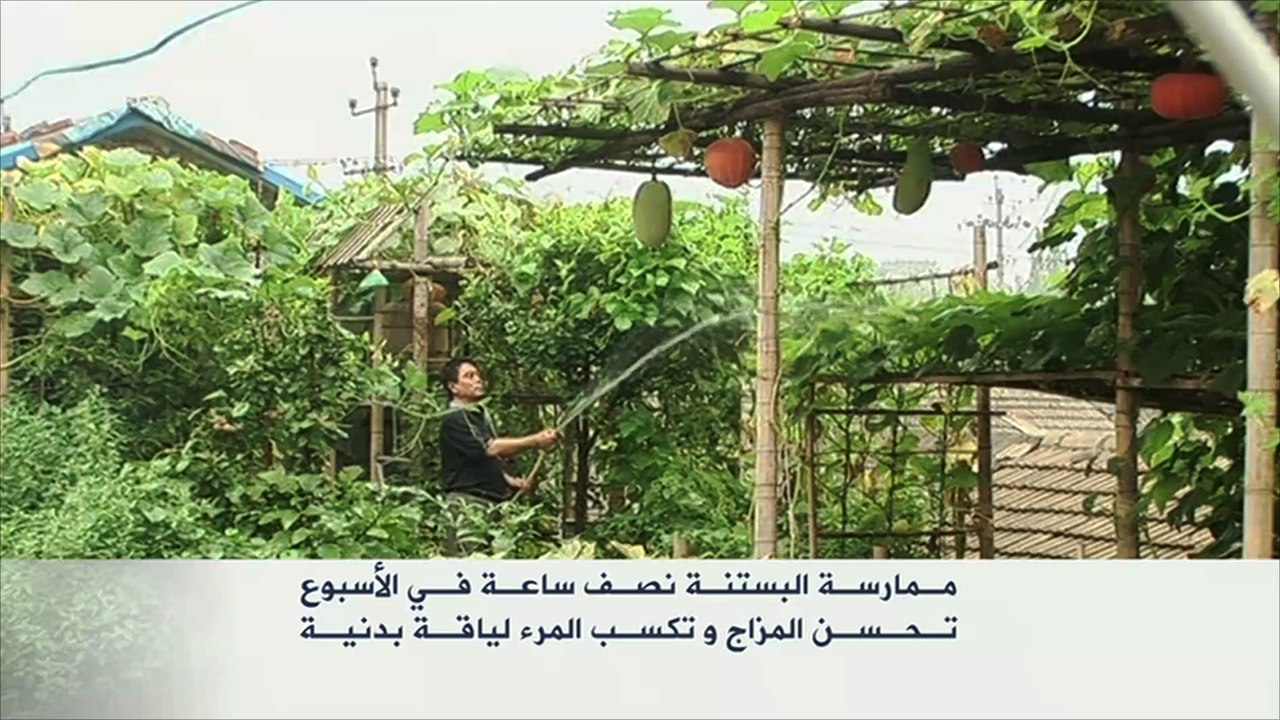 ممارسة البستنة مفيدة للصحة الذهنية